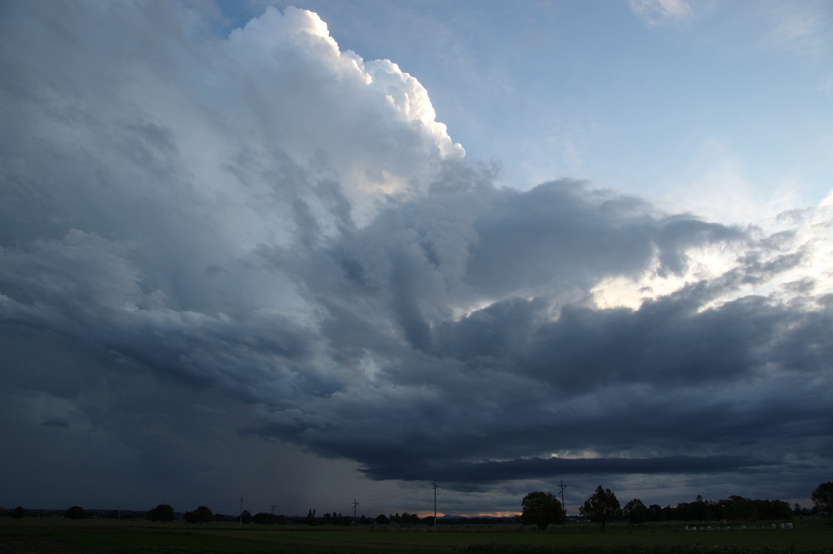 updraft thunderstorm_updrafts : Junction Hill, NSW   15 March 2009