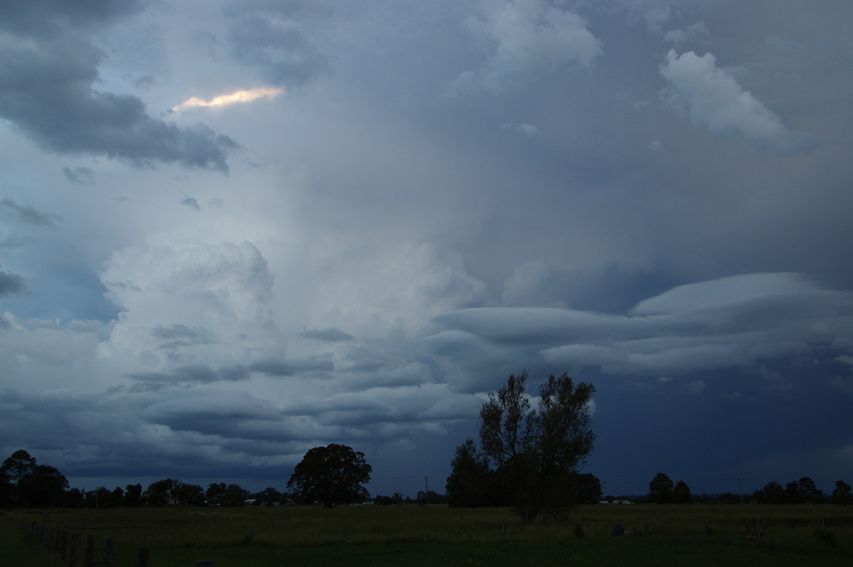 updraft thunderstorm_updrafts : Junction Hill, NSW   15 March 2009