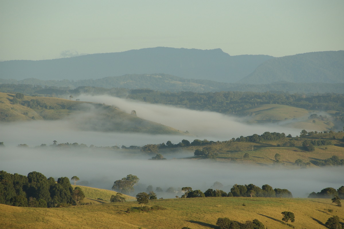 fogmist fog_mist_frost : McLeans Ridges, NSW   16 March 2009