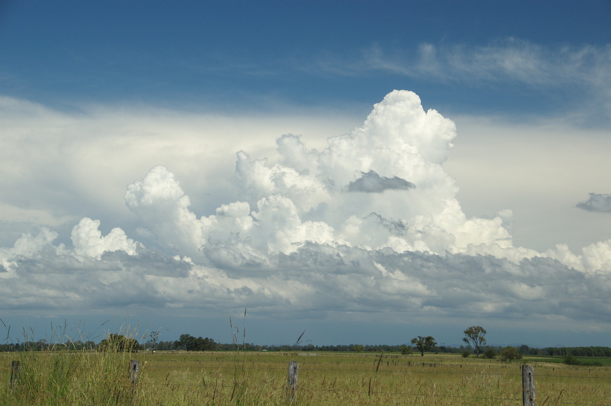 thunderstorm cumulonimbus_calvus : N of Casino, NSW   16 March 2009