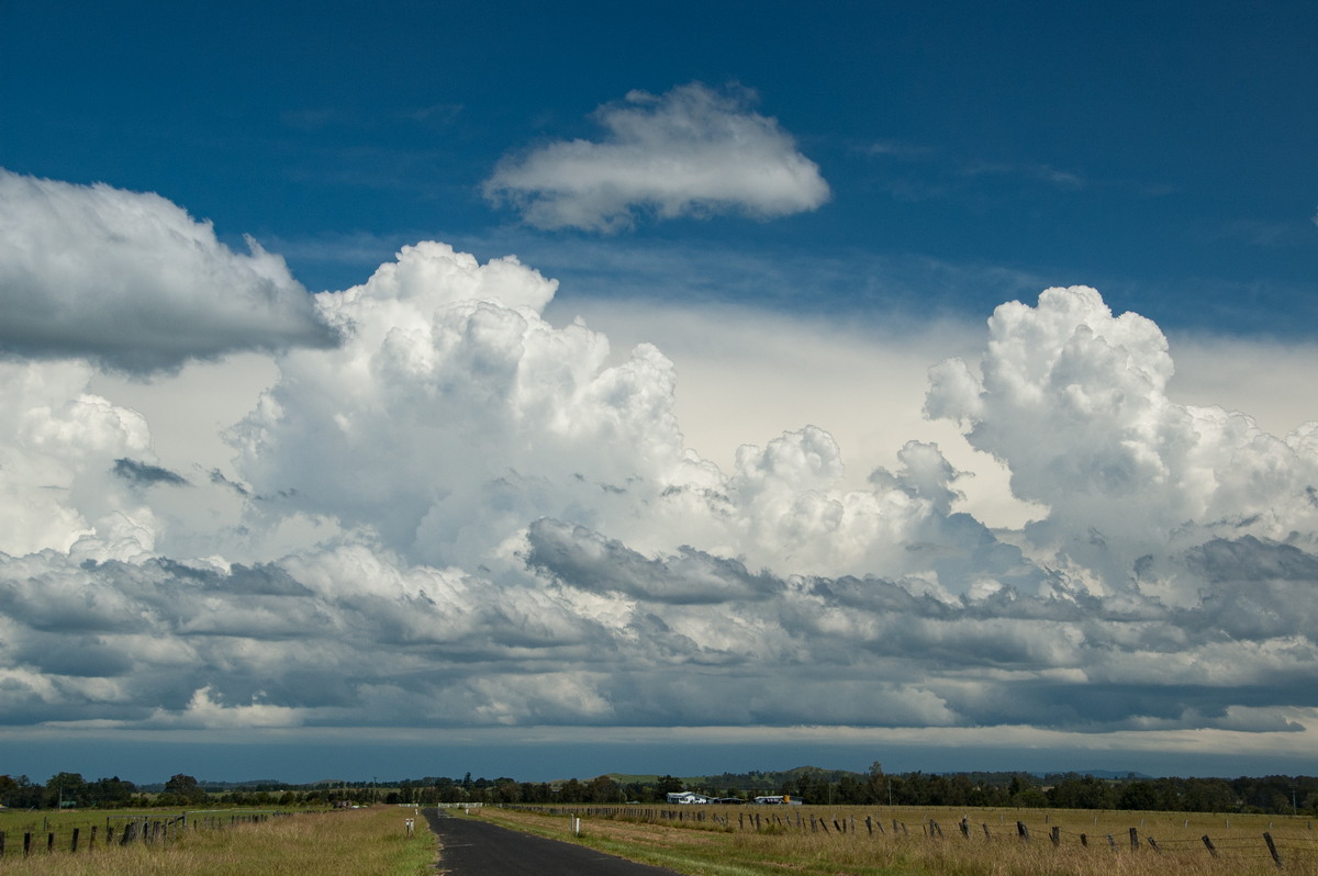 cumulus congestus : N of Casino, NSW   16 March 2009