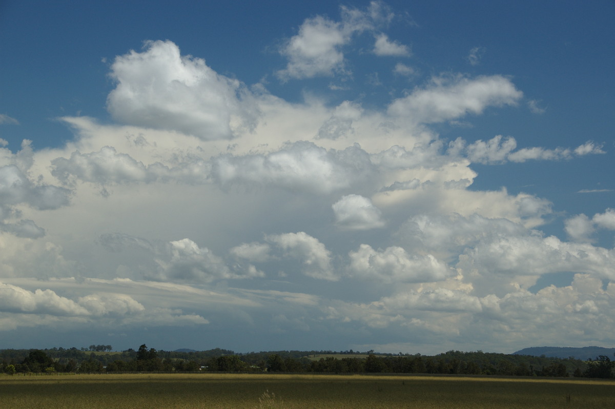 thunderstorm cumulonimbus_incus : N of Casino, NSW   16 March 2009