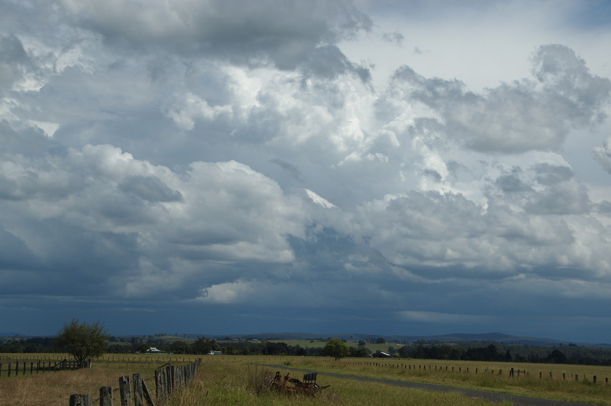 cumulonimbus thunderstorm_base : N of Casino, NSW   16 March 2009