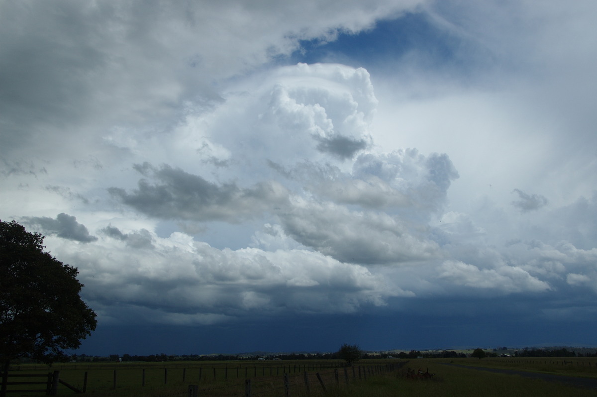 updraft thunderstorm_updrafts : N of Casino, NSW   16 March 2009