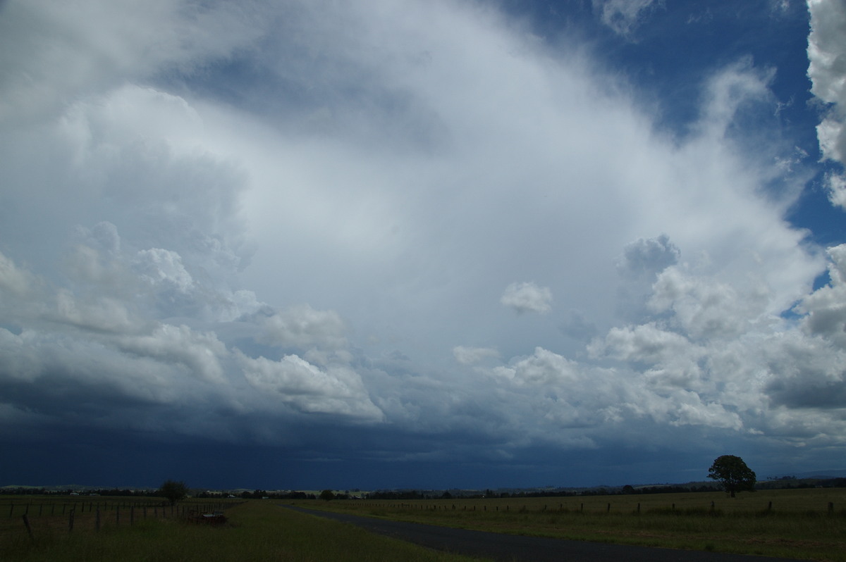 thunderstorm cumulonimbus_incus : N of Casino, NSW   16 March 2009