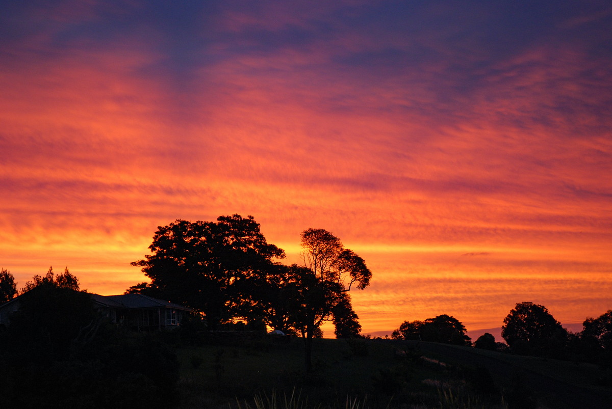 favourites michael_bath : McLeans Ridges, NSW   18 March 2009