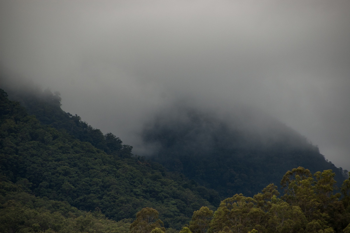 favourites michael_bath : Border Ranges, NSW   4 April 2009