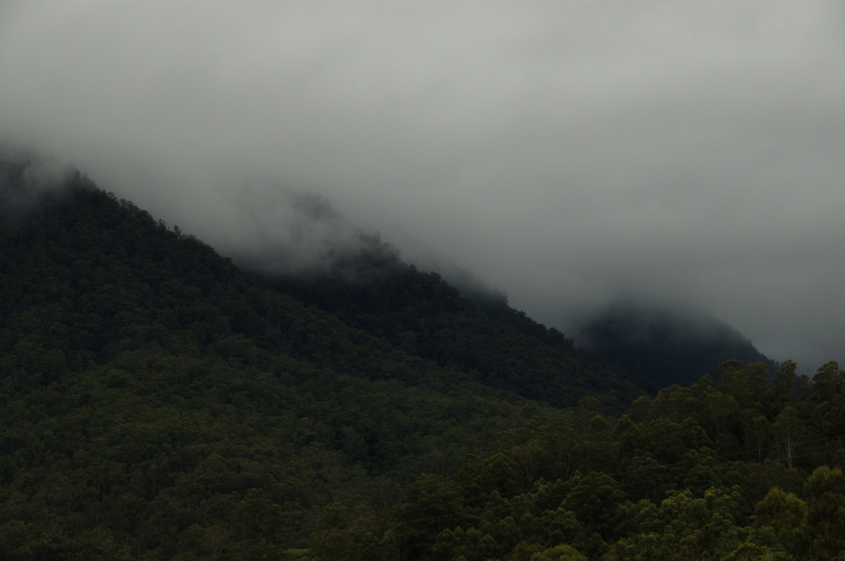 stratus stratus_cloud : Border Ranges, NSW   4 April 2009