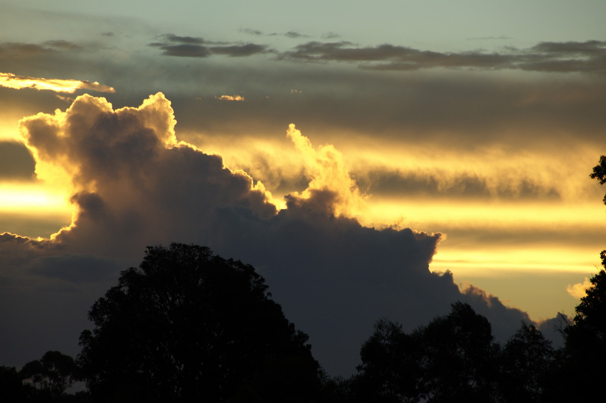 cumulus congestus : McLeans Ridges, NSW   14 April 2009