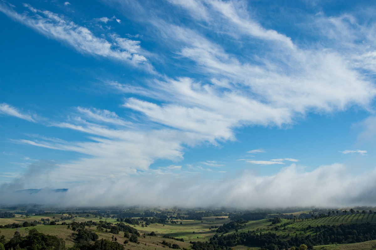 stratus stratus_cloud : McLeans Ridges, NSW   15 April 2009