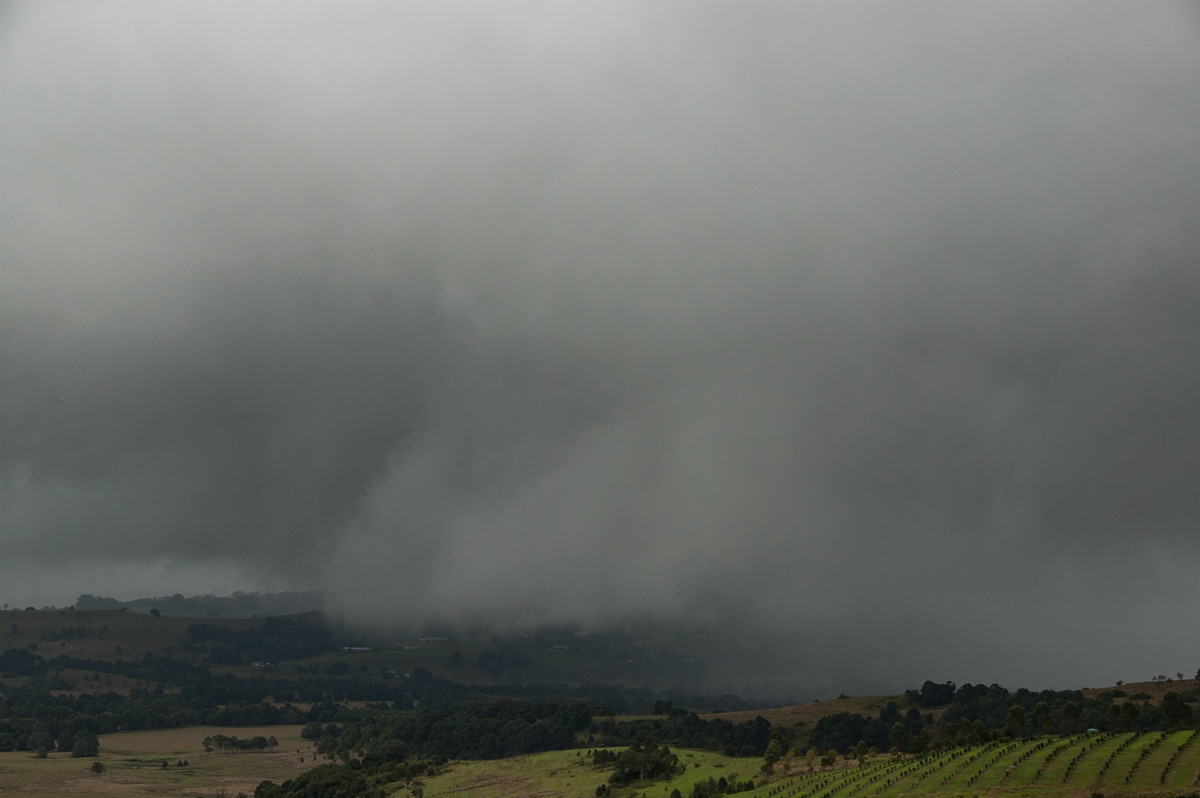 favourites michael_bath : McLeans Ridges, NSW   6 May 2009