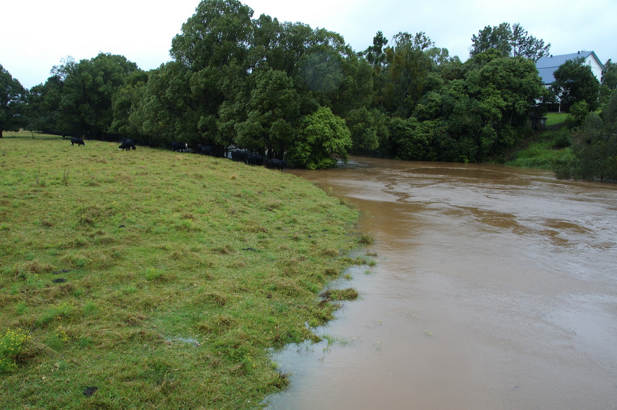 flashflooding flood_pictures : Eltham, NSW   21 May 2009