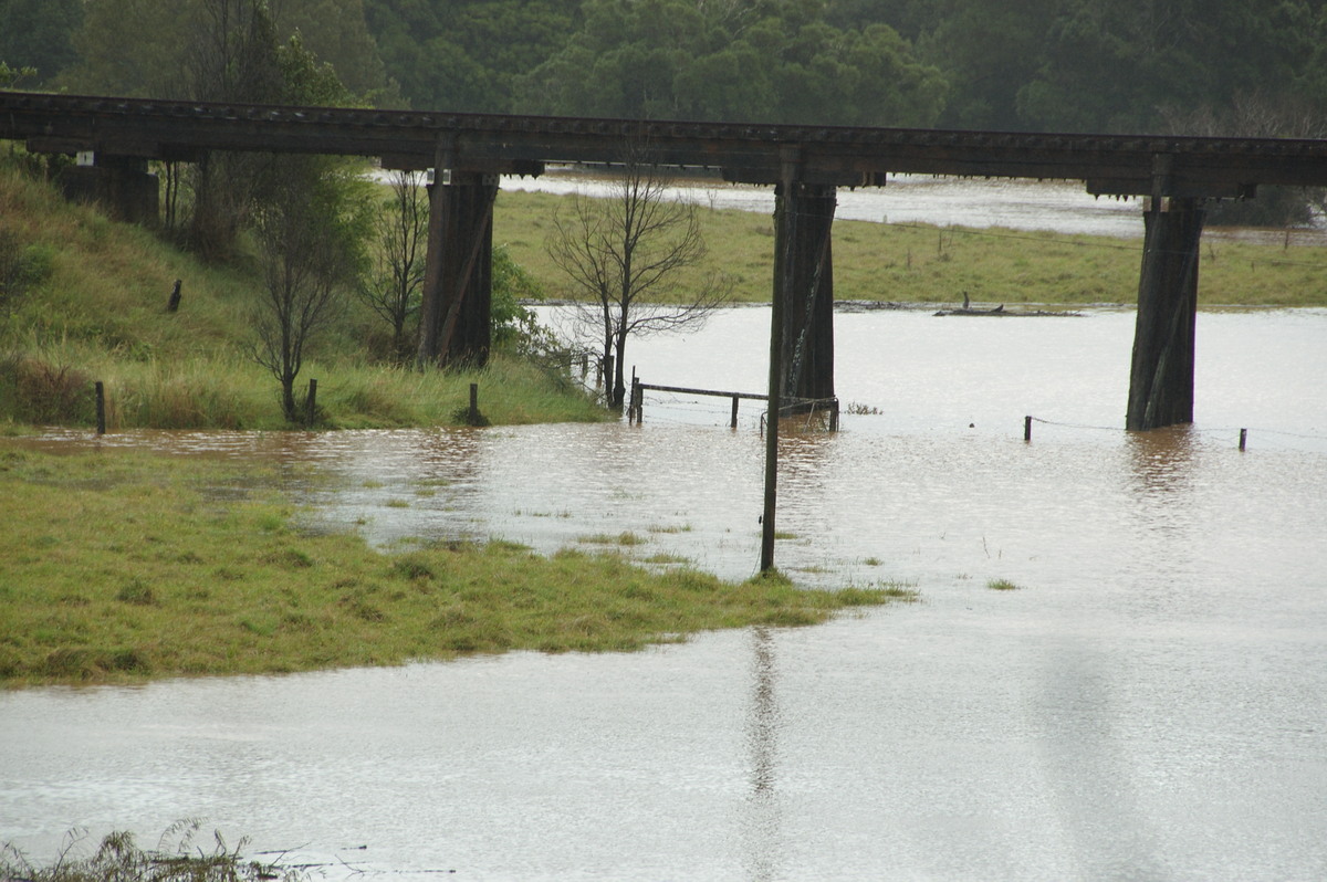 flashflooding flood_pictures : Booyong, NSW   21 May 2009