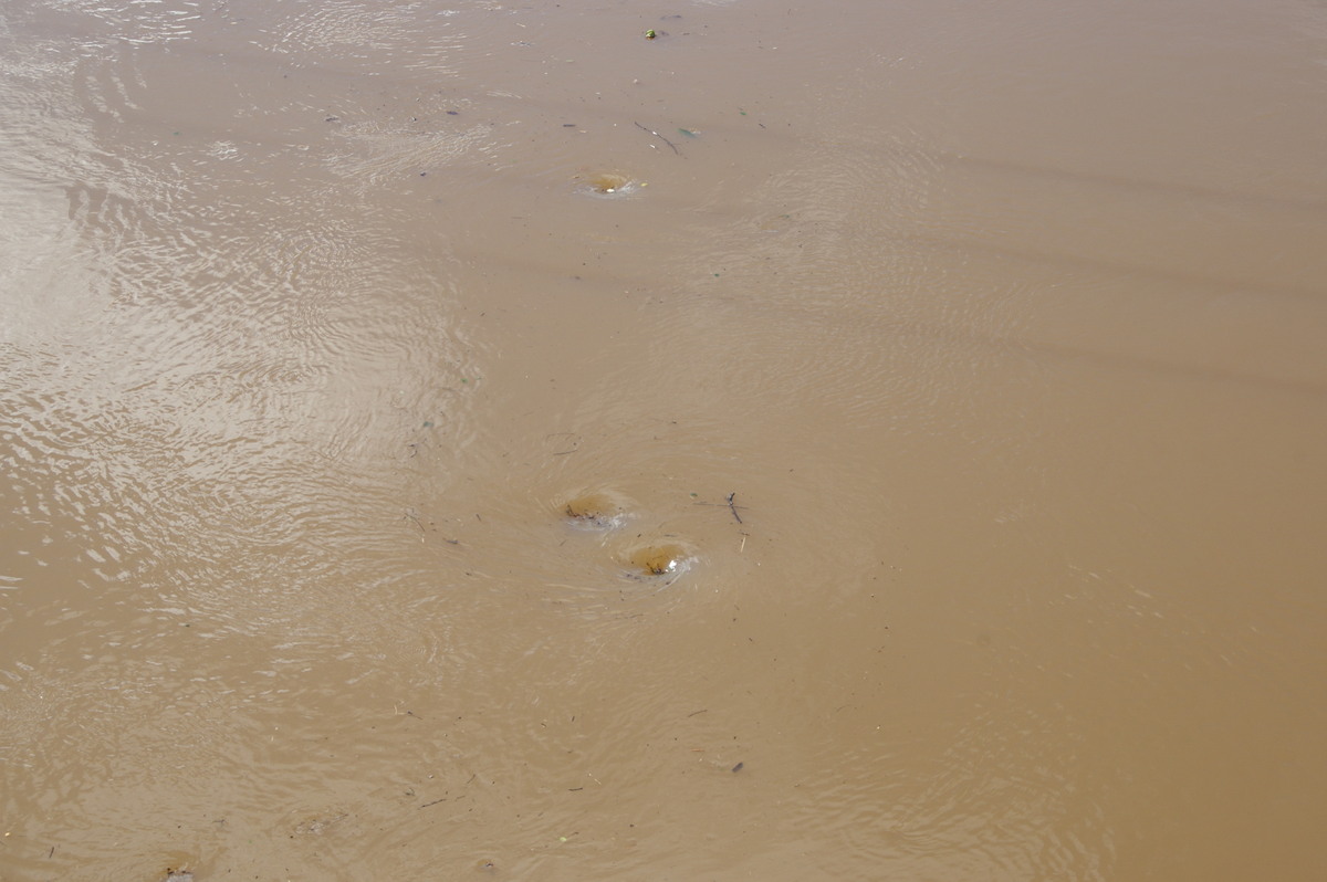 flashflooding flood_pictures : Lismore, NSW   22 May 2009