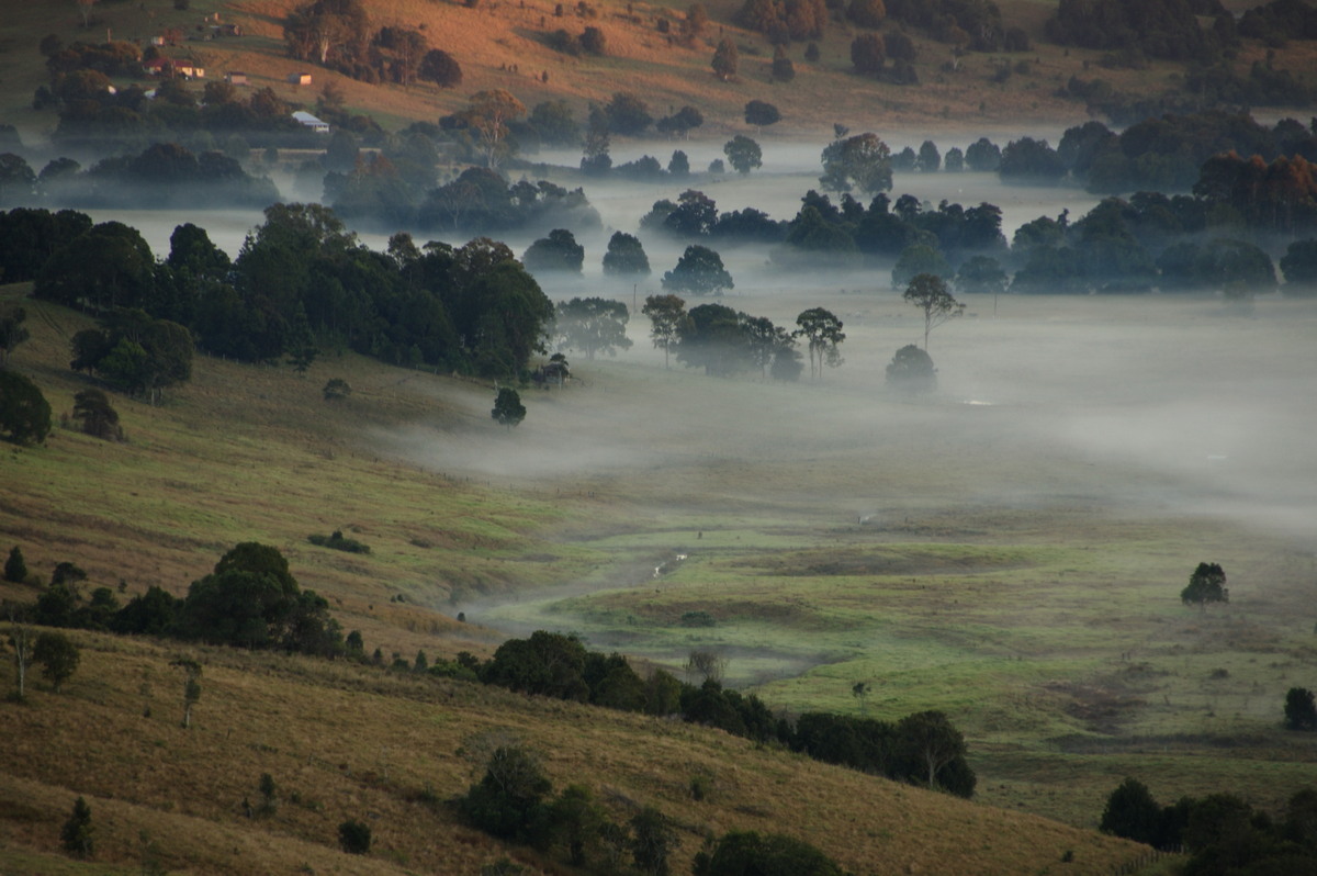 fogmist fog_mist_frost : McLeans Ridges, NSW   16 June 2009