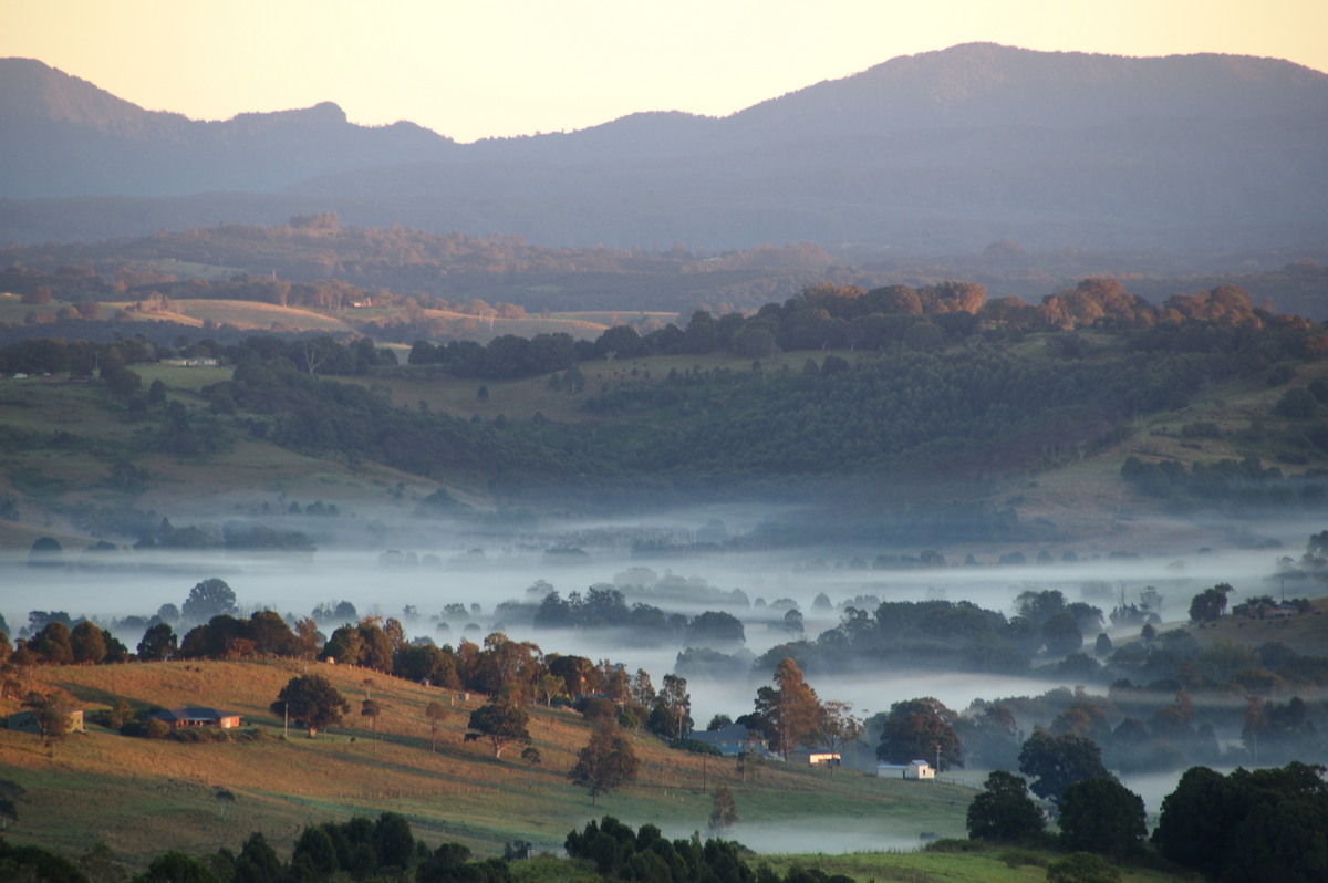 fogmist fog_mist_frost : McLeans Ridges, NSW   16 June 2009