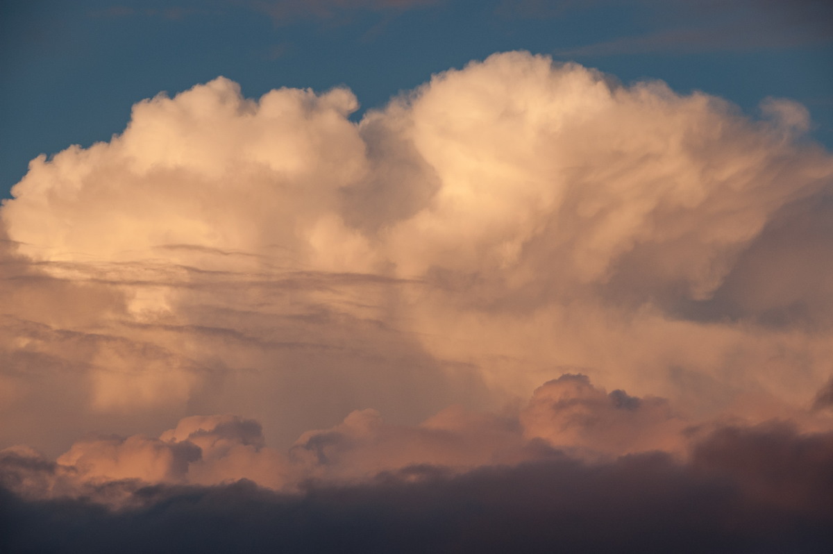 cumulus congestus : McLeans Ridges, NSW   18 June 2009