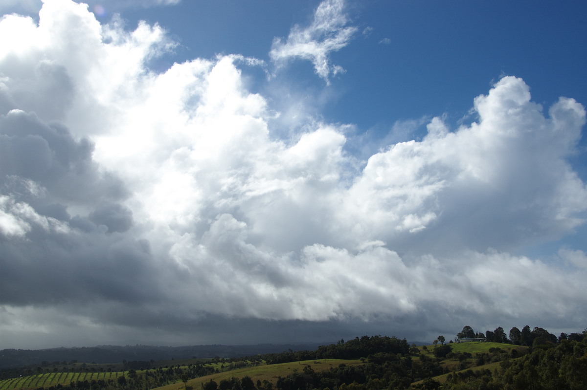 cumulus congestus : McLeans Ridges, NSW   19 June 2009