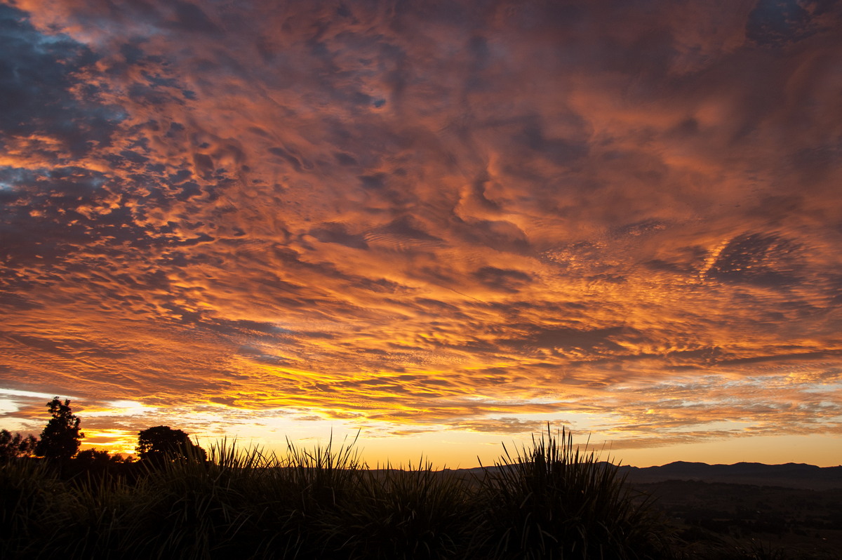 favourites michael_bath : McLeans Ridges, NSW   30 June 2009