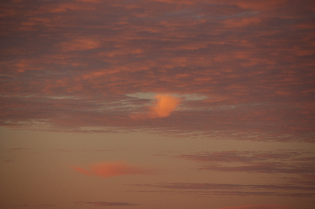sunset sunset_pictures : McLeans Ridges, NSW   30 June 2009