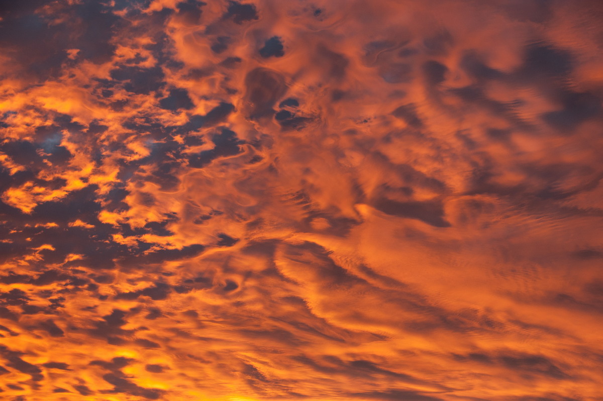 sunset sunset_pictures : McLeans Ridges, NSW   30 June 2009