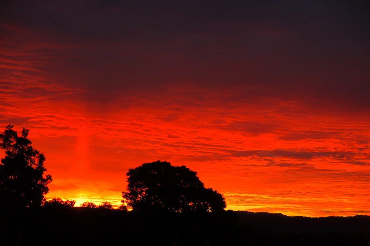 sunset sunset_pictures : McLeans Ridges, NSW   5 July 2009