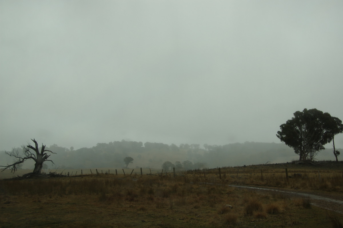 precipitation precipitation_rain : near Guyra, NSW   15 July 2009