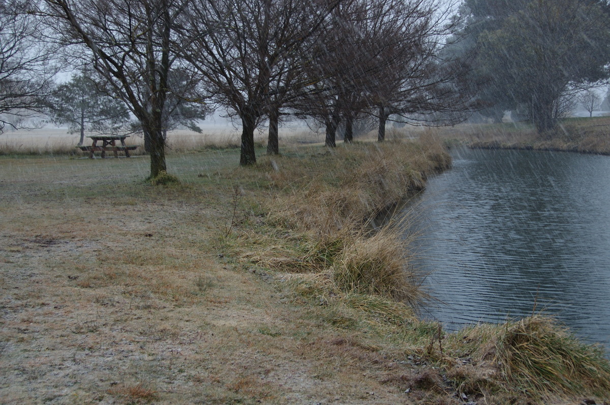 snow snow_pictures : Guyra, NSW   15 July 2009