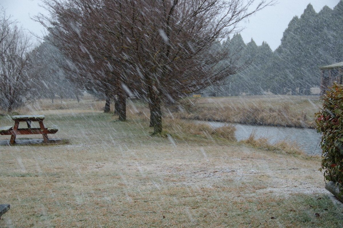 snow snow_pictures : Guyra, NSW   15 July 2009