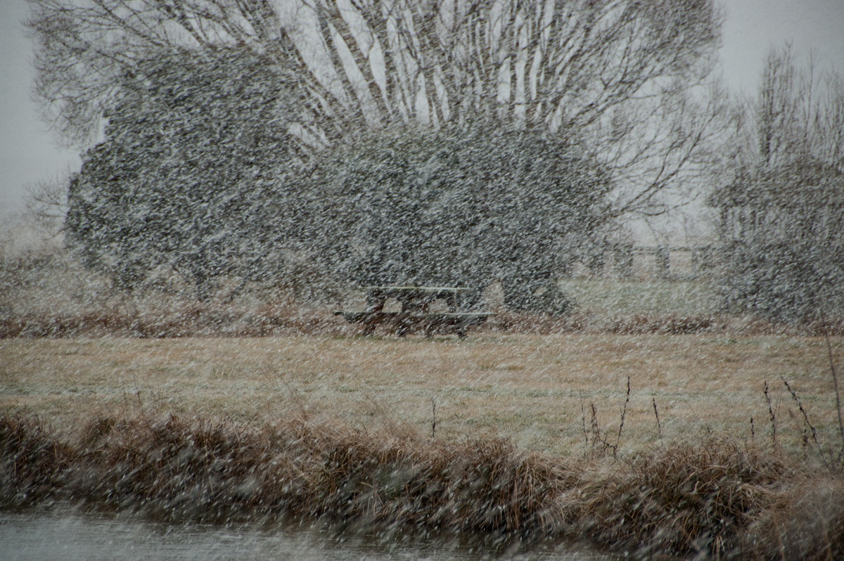 precipitation precipitation_rain : Guyra, NSW   15 July 2009