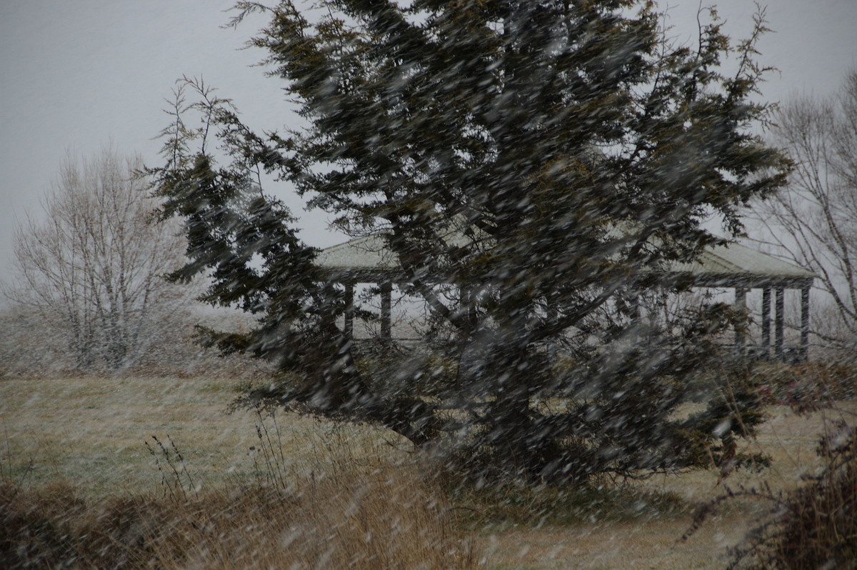 snow snow_pictures : Guyra, NSW   15 July 2009