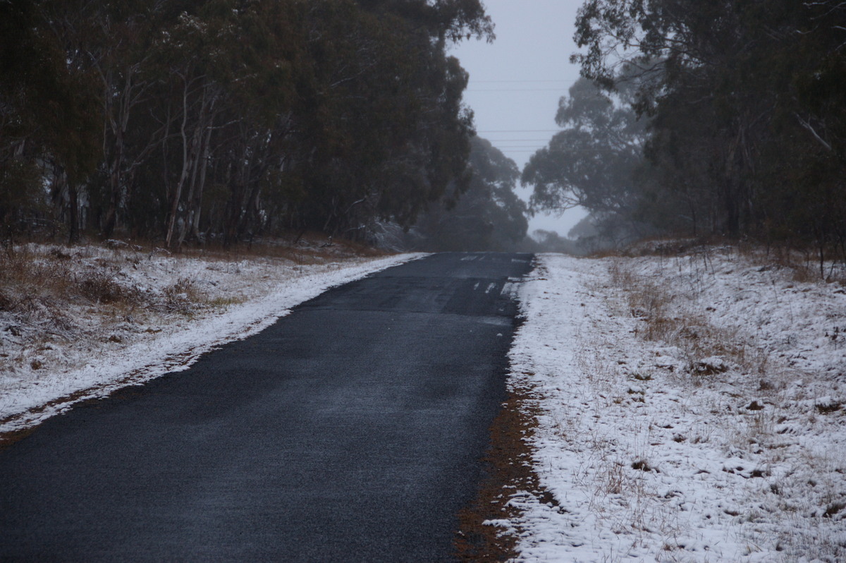 snow snow_pictures : Ben Lomond, NSW   16 July 2009