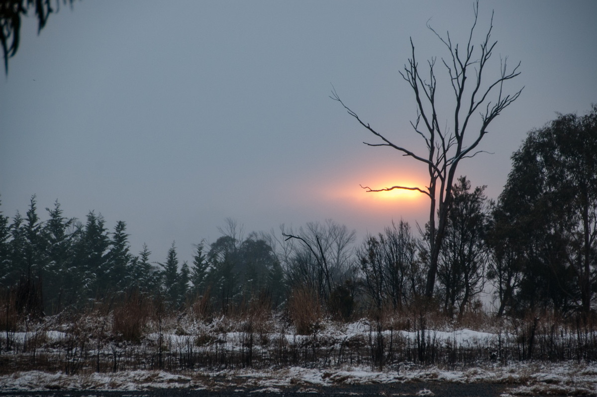 snow snow_pictures : Ben Lomond, NSW   16 July 2009