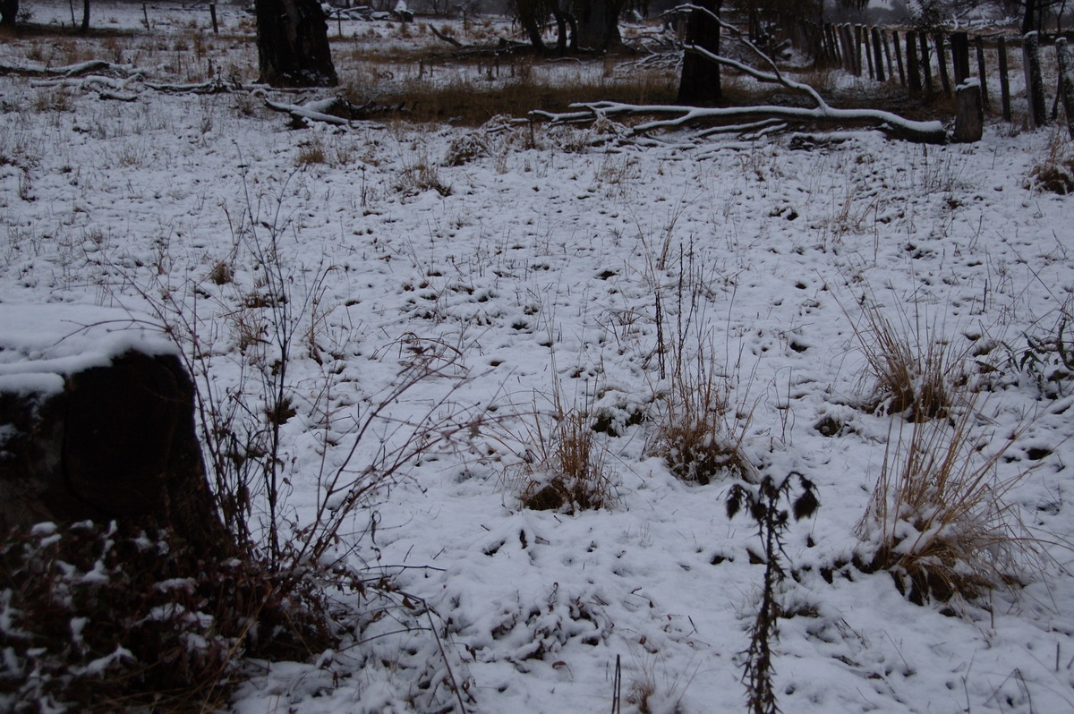 snow snow_pictures : Ben Lomond, NSW   16 July 2009