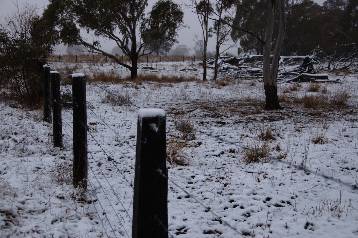 snow snow_pictures : Ben Lomond, NSW   16 July 2009