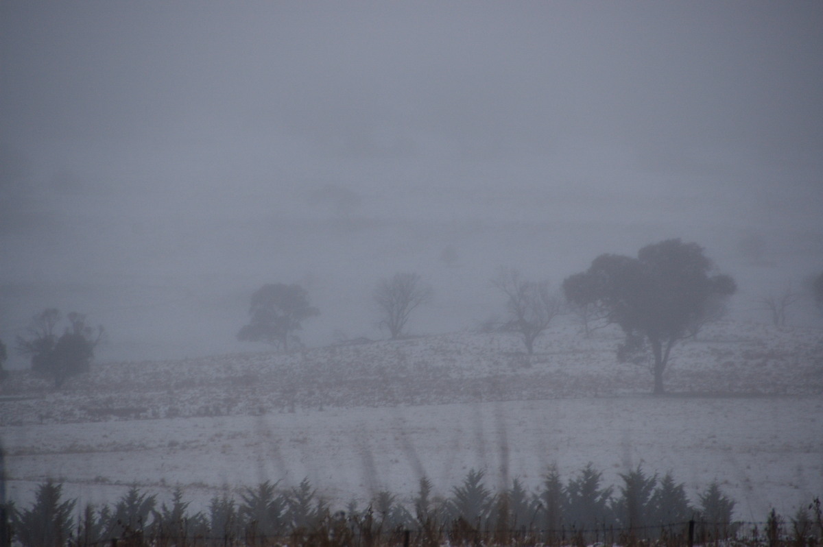 snow snow_pictures : Ben Lomond, NSW   16 July 2009