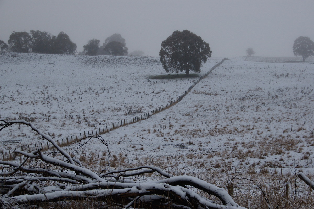 snow snow_pictures : Ben Lomond, NSW   16 July 2009