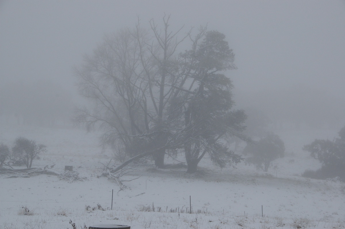 snow snow_pictures : Ben Lomond, NSW   16 July 2009