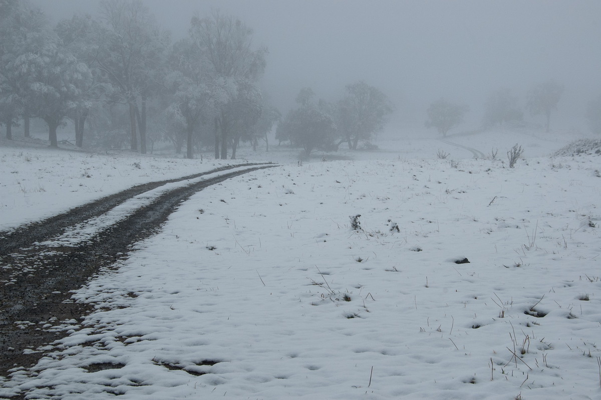 snow snow_pictures : Ben Lomond, NSW   16 July 2009