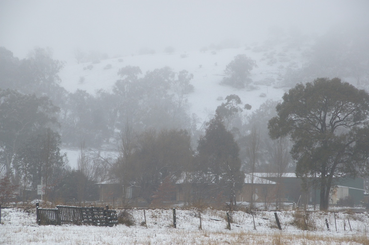 snow snow_pictures : Ben Lomond, NSW   16 July 2009