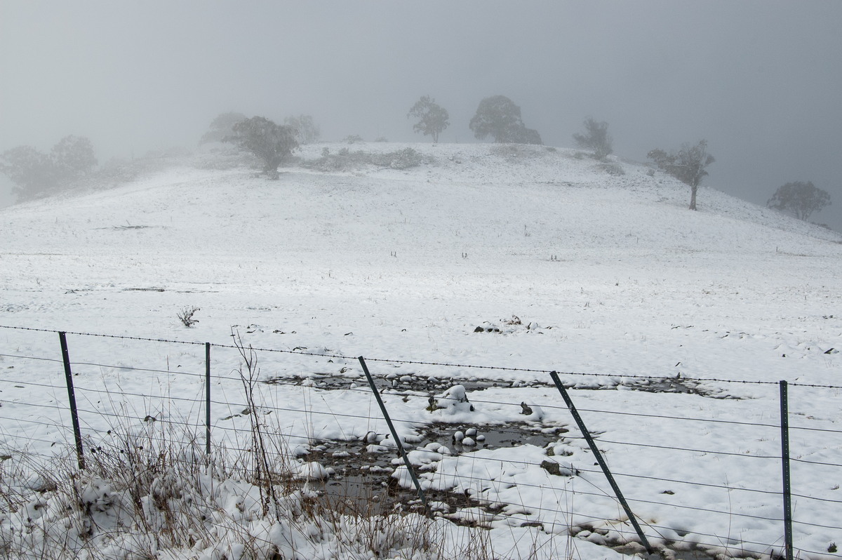 favourites michael_bath : Maybole, NSW   16 July 2009