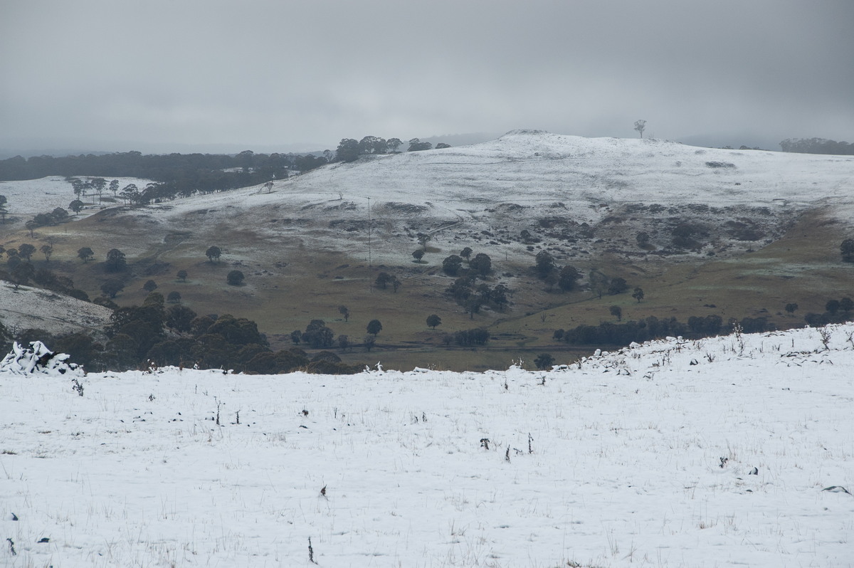 favourites michael_bath : Maybole, NSW   16 July 2009