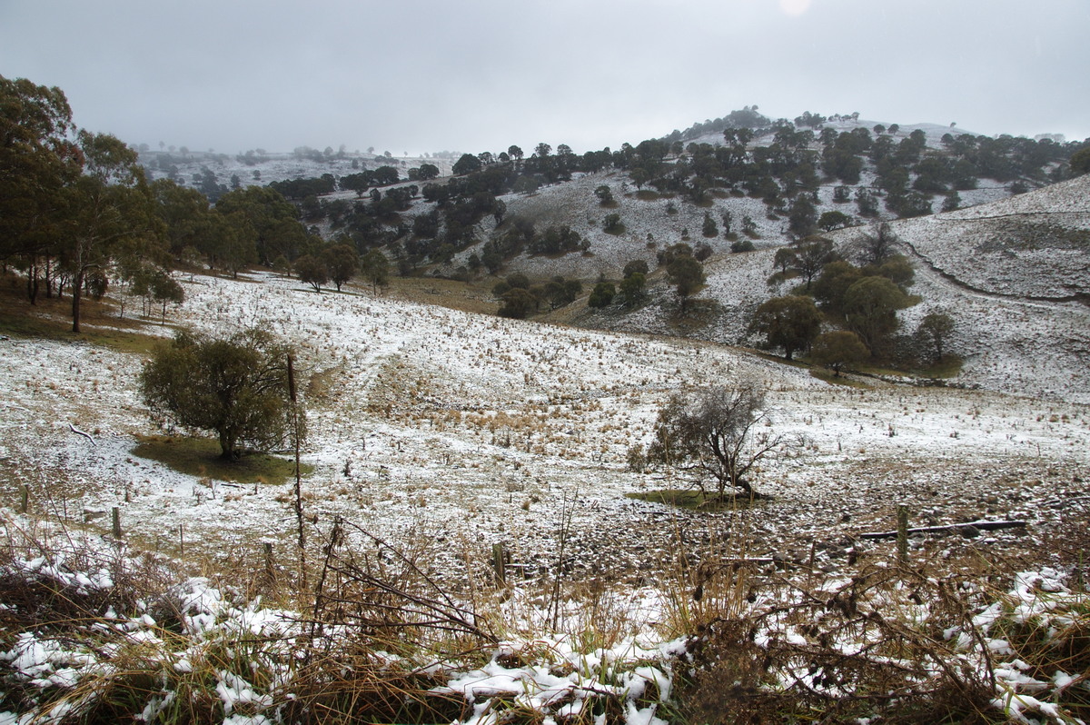 snow snow_pictures : Ben Lomond, NSW   16 July 2009