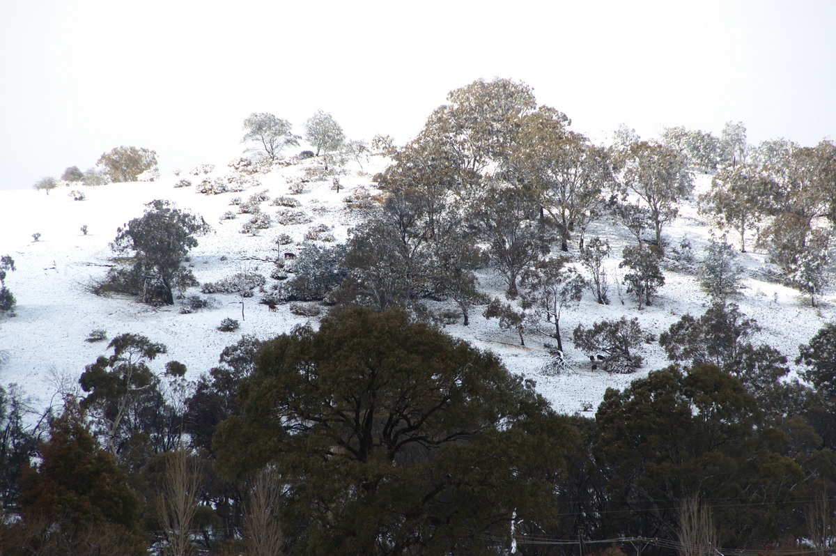 snow snow_pictures : Ben Lomond, NSW   16 July 2009