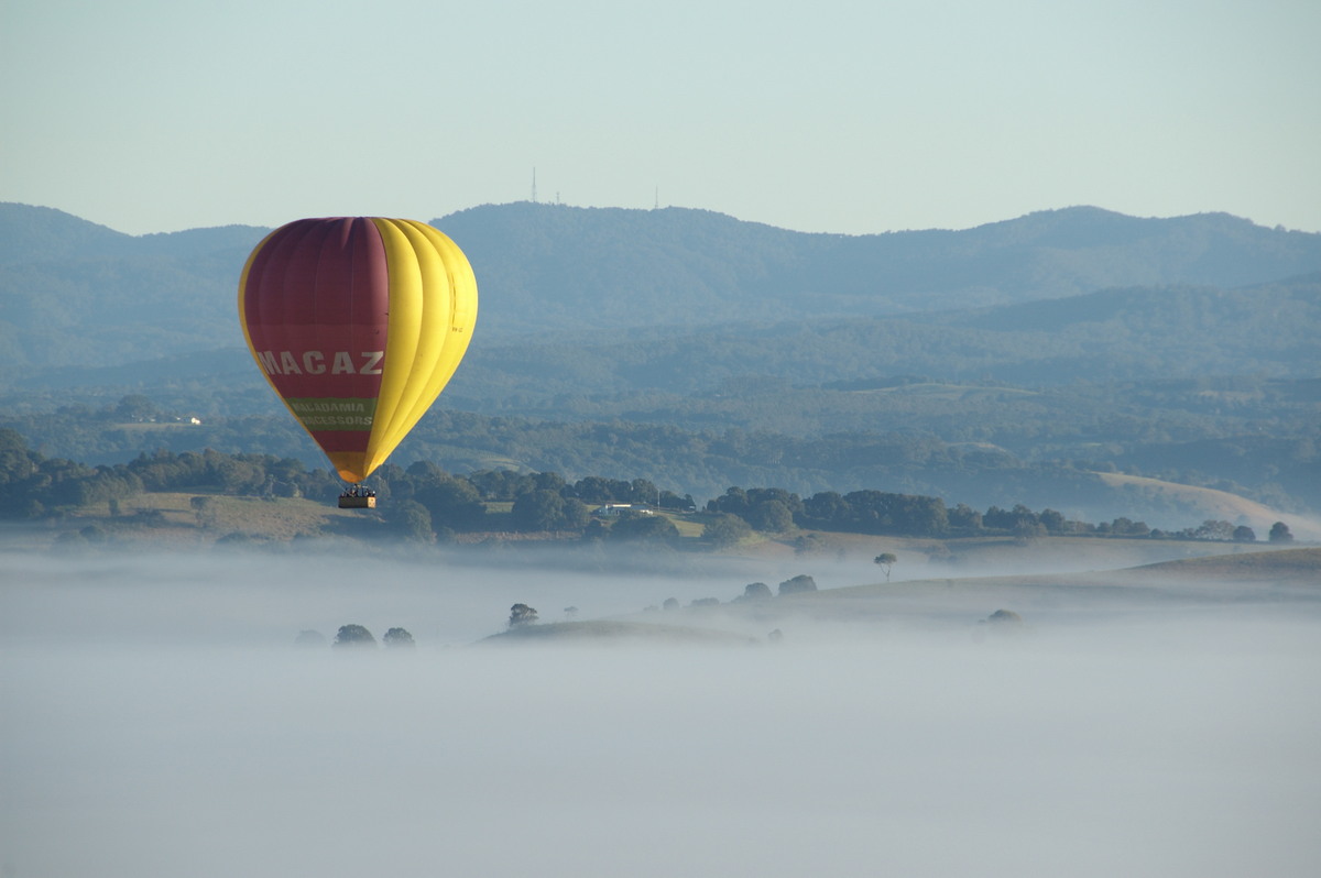 fogmist fog_mist_frost : McLeans Ridges, NSW   3 August 2009