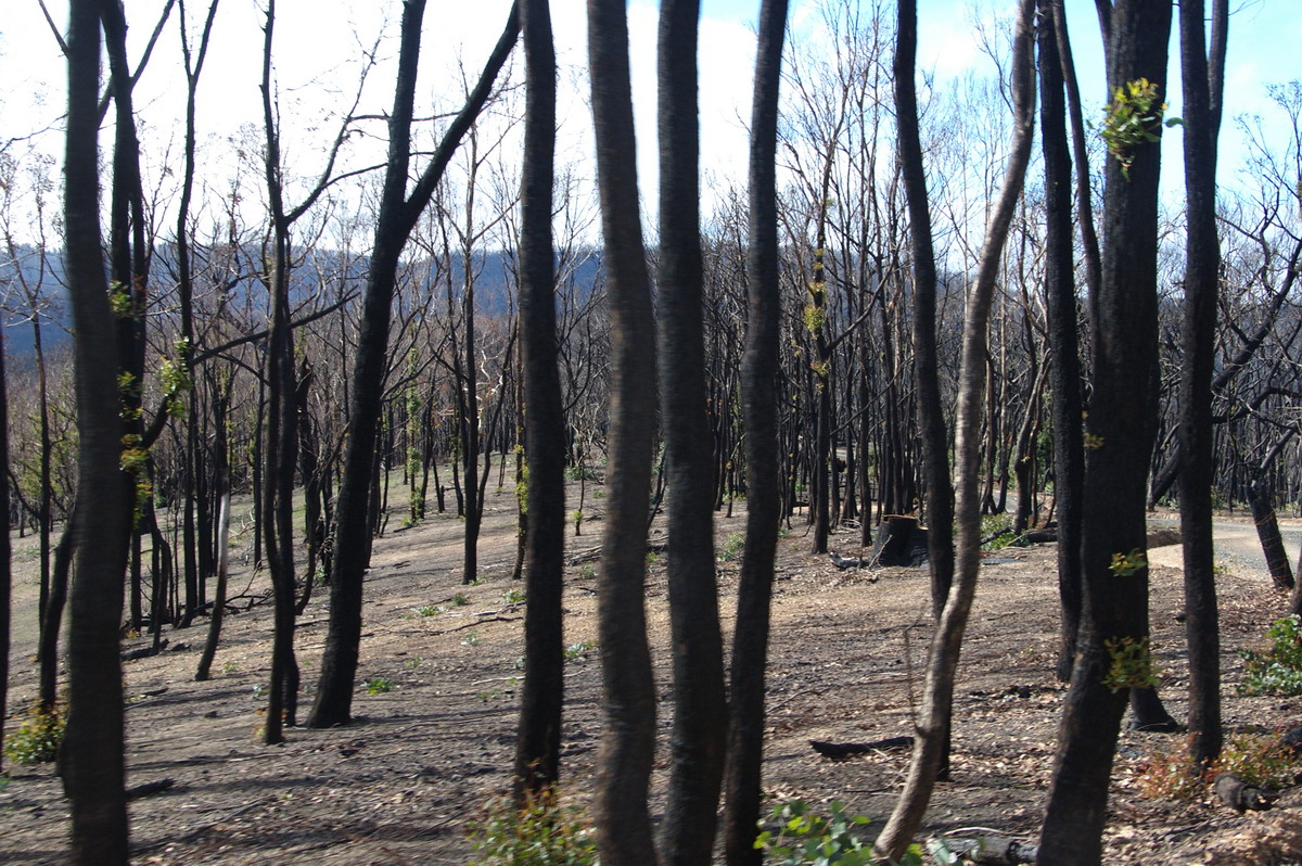 bushfire wild_fire : Strathewen, VIC   5 August 2009