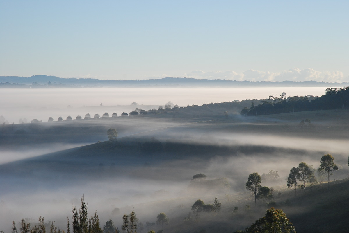 fogmist fog_mist_frost : McLeans Ridges, NSW   7 August 2009