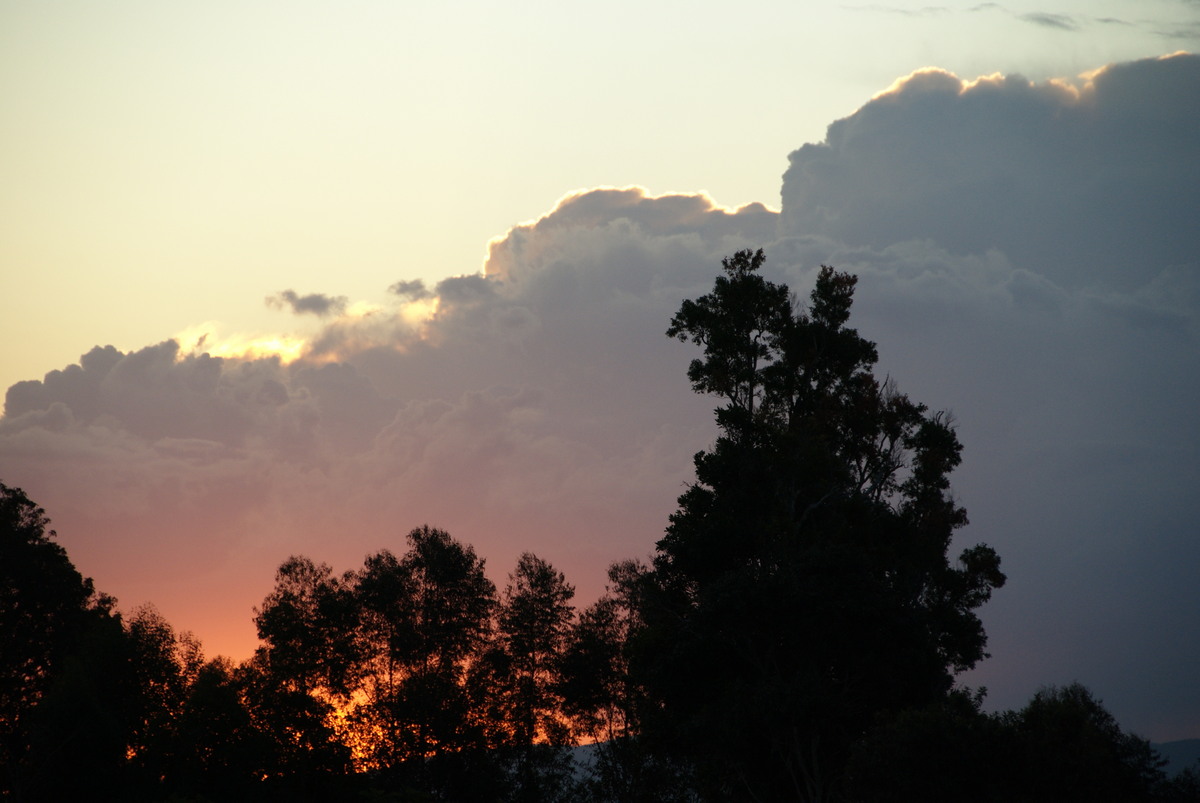 cumulus congestus : McLeans Ridges, NSW   12 August 2009