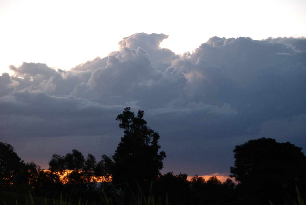 cumulus congestus : McLeans Ridges, NSW   12 August 2009