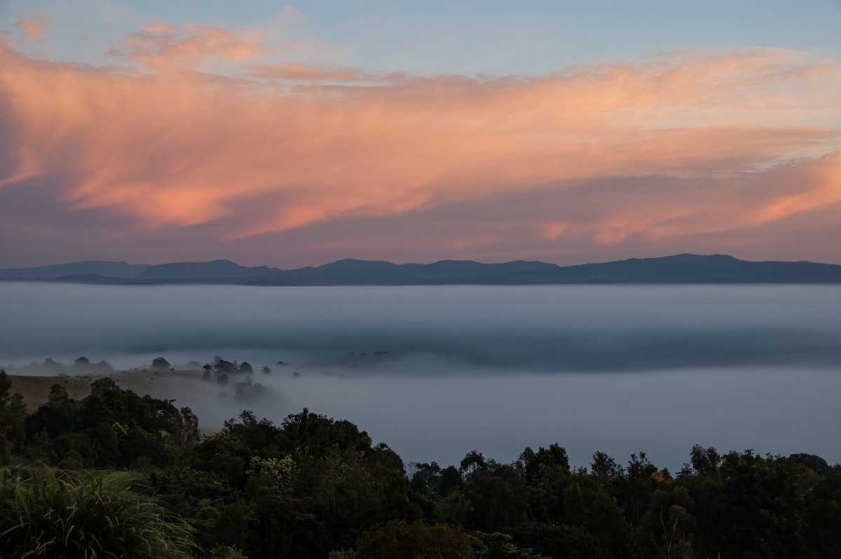 fogmist fog_mist_frost : McLeans Ridges, NSW   20 August 2009